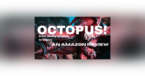 Not quite Brian Fellows... - Error Code Show Not quite Brian Fellows... - Error Code Show