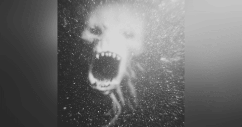 BRUJERÍA Que Quería Terminar Con Un PUEBLO De MÉXICO Historias De Terror - REDE BRUJERÍA Que Quería Terminar Con Un PUEBLO De MÉXICO Historias De Terror - REDE