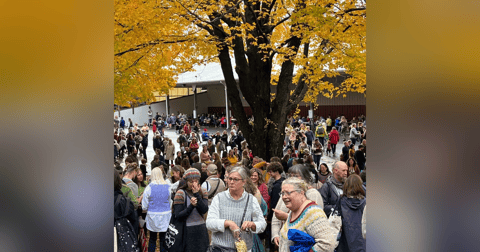 95. Bleats from Sheep & Wool 95. Bleats from Sheep & Wool