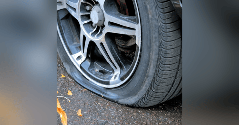 Historias de Miedo Noviembre 3 de 2021 UN EXTRAÑO SER EN VERACRUZ Historias de Miedo Noviembre 3 de 2021 UN EXTRAÑO SER EN VERACRUZ