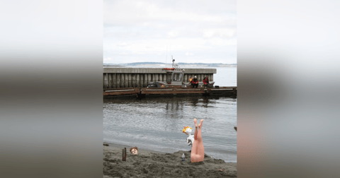 The Quiet Friend - Speaking Up in Defense of Others or Having Our heads in the Sand? The Quiet Friend - Speaking Up in Defense of Others or Having Our heads in the Sand?