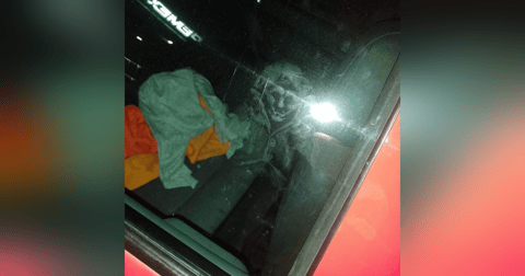 Historias de Miedo Septiembre 5 de 2023 LOS CUENTOS PARA NO DORMIR Historias de Miedo Septiembre 5 de 2023 LOS CUENTOS PARA NO DORMIR