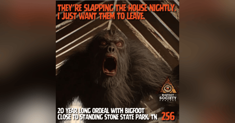 "They're Slapping the House Nightly and I Just Want them to Leave" "They're Slapping the House Nightly and I Just Want them to Leave"