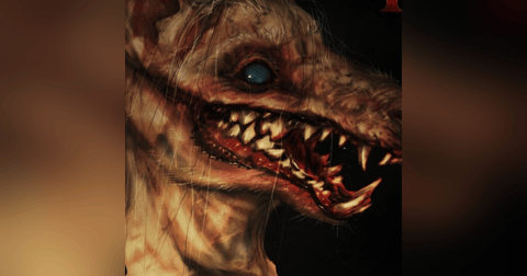 Recopilación Historias De Nahuales #2 Historias De Terror - REDE Recopilación Historias De Nahuales #2 Historias De Terror - REDE