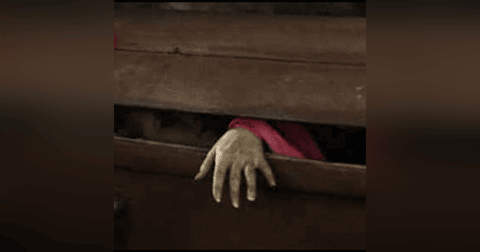 El Ataúd Historias De Terror - REDE El Ataúd Historias De Terror - REDE