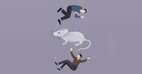 Of Mice and Men Book Notes Of Mice and Men Book Notes