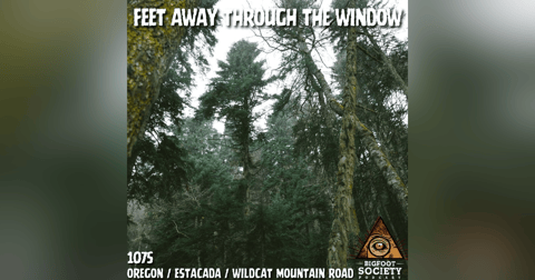 A Man From Sandy, Oregon Shares His Lifelong Encounters With The Sasquatch A Man From Sandy, Oregon Shares His Lifelong Encounters With The Sasquatch