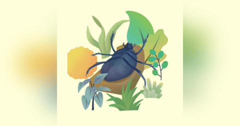 The Metamorphosis Full Book Introduction The Metamorphosis Full Book Introduction