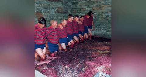 Episode 108-Foot Stomping, Wine Scholar Guild, Better Taster According To Scientists, Wine In Space Episode 108-Foot Stomping, Wine Scholar Guild, Better Taster According To Scientists, Wine In Space