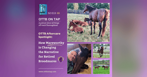 S2 E13: OTTB Aftercare Spotlight: How Mareworthy is Changing the Narrative for Retired Broodmares S2 E13: OTTB Aftercare Spotlight: How Mareworthy is Changing the Narrative for Retired Broodmares