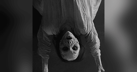 SOY HIJA DE UNA BRUJA MALA Historias De Terror - REDE SOY HIJA DE UNA BRUJA MALA Historias De Terror - REDE