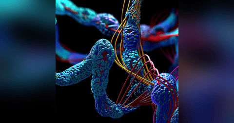 Nobel in Chemistry: AI's Protein Breakthrough Nobel in Chemistry: AI's Protein Breakthrough