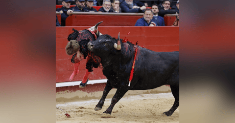 Al Alimón: La cogida de Borja Jiménez que sobrecogió a Valencia Al Alimón: La cogida de Borja Jiménez que sobrecogió a Valencia