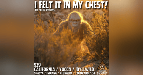 They’re Not Supposed to Be Here — But I Saw One! They’re Not Supposed to Be Here — But I Saw One!