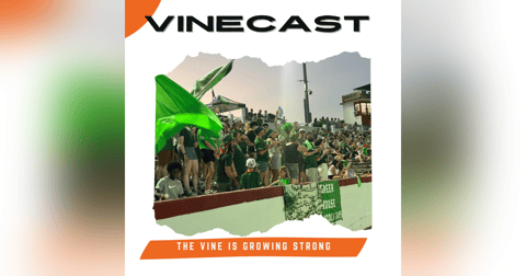 The Vine is growing strong The Vine is growing strong