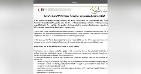 We’re essential, but do we believe it? Business and Leadership Series, episode 2. We’re essential, but do we believe it? Business and Leadership Series, episode 2.