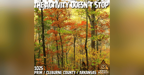 Living With Bigfoot in Rural Arkansas | Footprints, Sightings, and Ongoing Activity Living With Bigfoot in Rural Arkansas | Footprints, Sightings, and Ongoing Activity