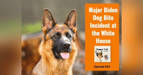 Major Biden Dog Bite Incident at the White House Major Biden Dog Bite Incident at the White House