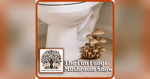 Fall Mushroom Show: Shiitake, Truffle Hustles, the People's Mushroom and more Fall Mushroom Show: Shiitake, Truffle Hustles, the People's Mushroom and more