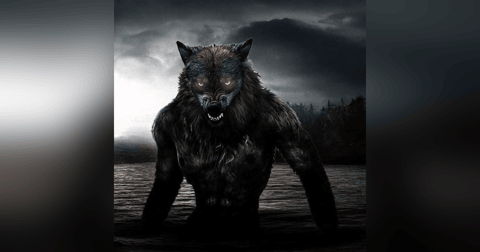 Especial Nahuales (Recopilación) Historias De Terror - REDE Especial Nahuales (Recopilación) Historias De Terror - REDE