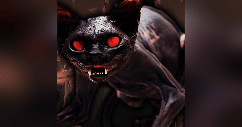 Las Ventas Ilegales En El Mercado Sonora Historias De Terror - REDE Las Ventas Ilegales En El Mercado Sonora Historias De Terror - REDE