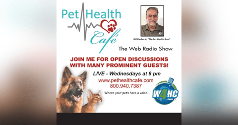 Truth About What A Virus Is & Effects Truth About What A Virus Is & Effects