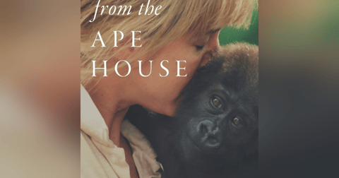Beth Armstrong--Gorilla Expert Beth Armstrong--Gorilla Expert