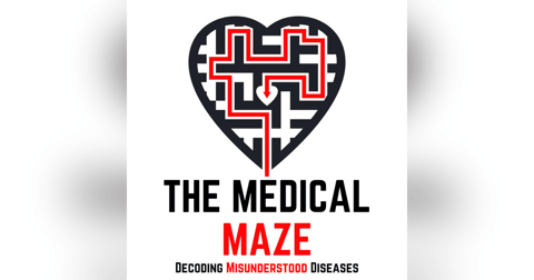 The Medical Maze Introduction The Medical Maze Introduction