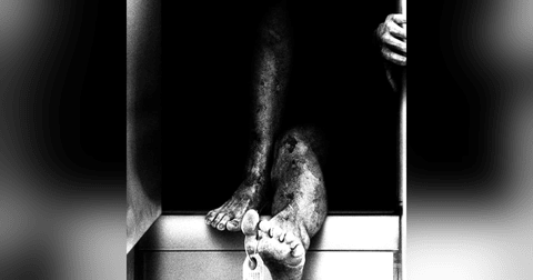 Los Extraños Sucesos De La Funeraria Historias De Terror - REDE Los Extraños Sucesos De La Funeraria Historias De Terror - REDE