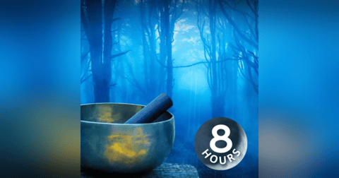 Rain in Woods + Music of Tibetan Bowls 8 Hours | Relax, Study or Sleep with White Noise Rain in Woods + Music of Tibetan Bowls 8 Hours | Relax, Study or Sleep with White Noise