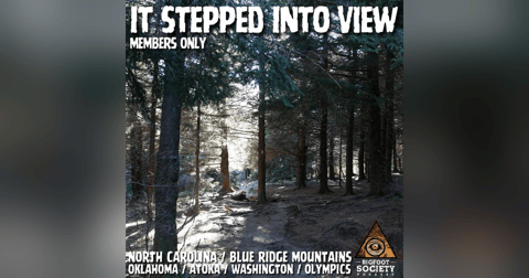 A Woman’s Terrifying Off-Trail Encounter in North Carolina’s Blue Ridge Mountains | Member's Only Episode A30 | PREVIEW A Woman’s Terrifying Off-Trail Encounter in North Carolina’s Blue Ridge Mountains | Member's Only Episode A30 | PREVIEW