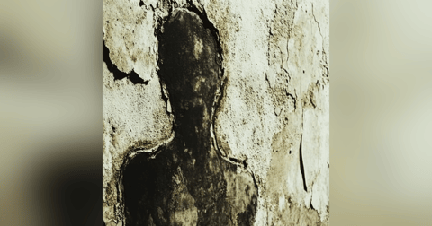 RESTOS HUMANOS En Mi CASA Historias De Terror - REDE RESTOS HUMANOS En Mi CASA Historias De Terror - REDE