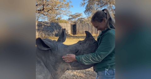 55. Baby Rhinos | A Conversation with Yolandé van der Merwe of the Rhino Orphanage 55. Baby Rhinos | A Conversation with Yolandé van der Merwe of the Rhino Orphanage
