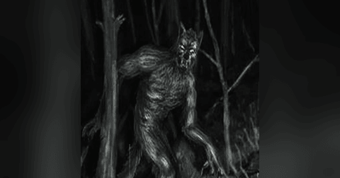 Nahuales En La Ciudad De México Historias De Terror - REDE Nahuales En La Ciudad De México Historias De Terror - REDE