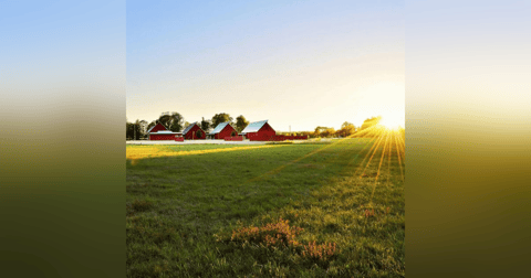Lagom: La receta sueca para alcanzar el equilibrio en tu vida Lagom: La receta sueca para alcanzar el equilibrio en tu vida
