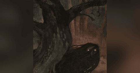 El Engendro (NAHUALES) Historias De Terror - REDE El Engendro (NAHUALES) Historias De Terror - REDE