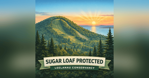 COTC - 12 Mar 2026 - Sugarloaf Property Protected COTC - 12 Mar 2026 - Sugarloaf Property Protected