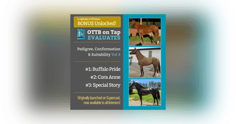 S2 E22: BONUS: Unlocked! OTTB on Tap Evaluates Vol. 4 — From Lightly Raced to Warhorses S2 E22: BONUS: Unlocked! OTTB on Tap Evaluates Vol. 4 — From Lightly Raced to Warhorses