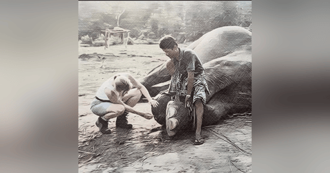 # 63: A walk on the wild side, with Dr Rosie Booth. # 63: A walk on the wild side, with Dr Rosie Booth.