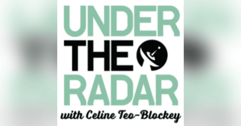 Memories of The Flaming Lips Memories of The Flaming Lips