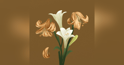 Tess of the D'Urbervilles Full Book Review Tess of the D'Urbervilles Full Book Review