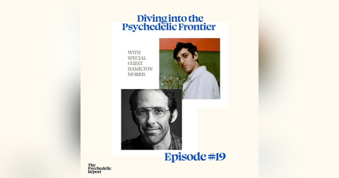 Diving into the Psychedelic Frontier with Hamilton Morris Diving into the Psychedelic Frontier with Hamilton Morris