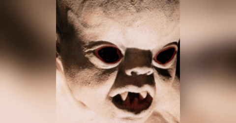 Nunca Bautices Un Duende Historias De Terror - REDE Nunca Bautices Un Duende Historias De Terror - REDE