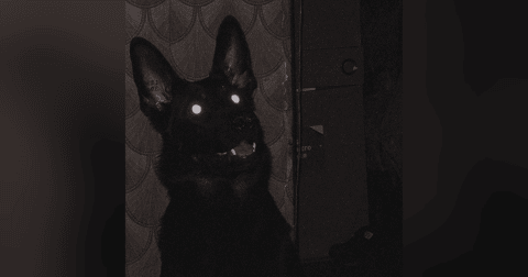 Historias de Miedo Enero 31 de 2023 SE DESPIDIO EN SUEÑOS Y LA HISTORIA DE UN NAHUAL Historias de Miedo Enero 31 de 2023 SE DESPIDIO EN SUEÑOS Y LA HISTORIA DE UN NAHUAL