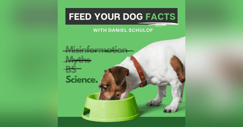 Feed Your Dog Facts Feed Your Dog Facts