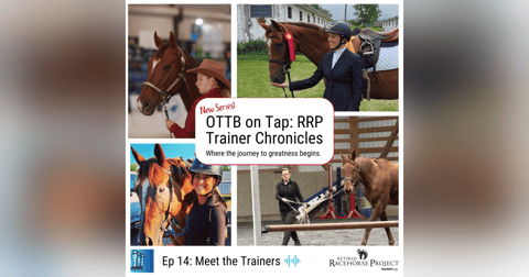 Ep 14: RRP Trainer Chronicles: Where the Journey to Greatness Begins Ep 14: RRP Trainer Chronicles: Where the Journey to Greatness Begins