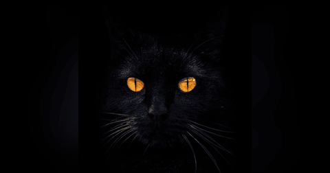 Rodeados Historias De Terror - REDE Rodeados Historias De Terror - REDE