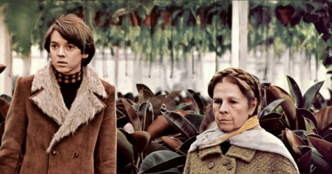 Midweek Mention... Harold and Maude Midweek Mention... Harold and Maude