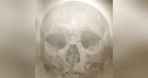 Pilares Humanos Historias De Terror - REDE Pilares Humanos Historias De Terror - REDE