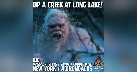 The Cobble Mountain Critter! | Massachusetts The Cobble Mountain Critter! | Massachusetts